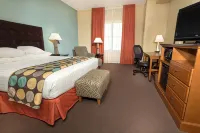 Drury Plaza Hotel San Antonio North Stone Oak Hotels near Encino Park Center