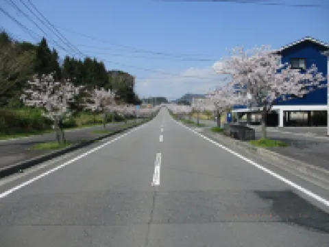 Crane 國東市酒店