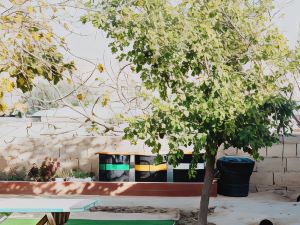 Amazing Bedouin Hospitality