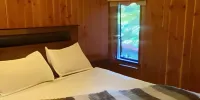 Hotel Pitrufquén - 三居室平房