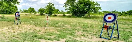 Cozy Tiny Homes Green