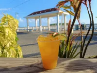Waterside Inn Hotels in Vieques
