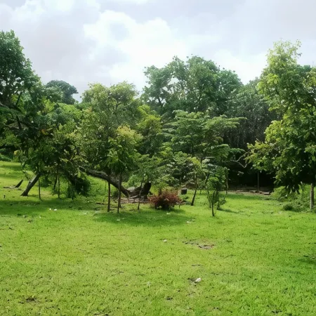 Alofa Beach Bungalows