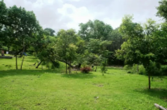 Alofa Beach Bungalows Hotels in 