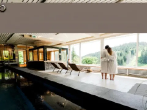 Grüner Baum Naturparkhotel & Schwarzwald-Restaurant Hotels in Todtnau