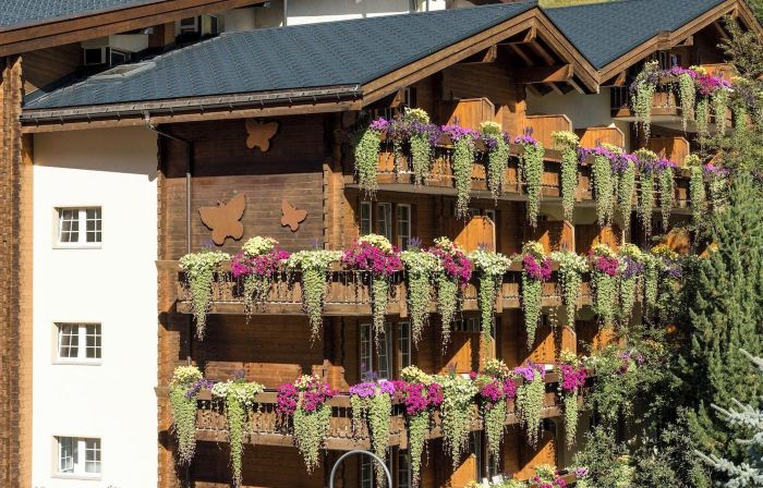 Hotel Butterfly