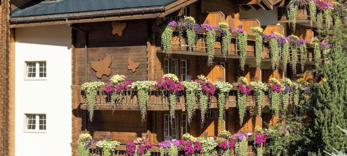Hotel Butterfly Отели в г. Церматт