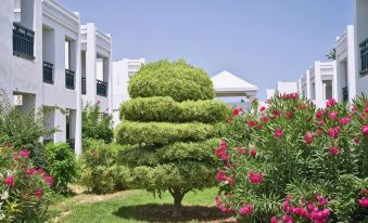 Hotel Club El Borj
