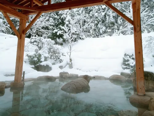 Choseikan - Hot Springs