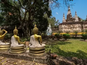 조이스 하우스 치앙마이