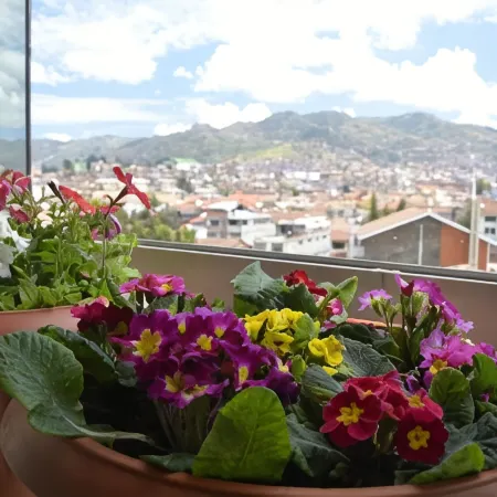 Aqua Hotel Cusco