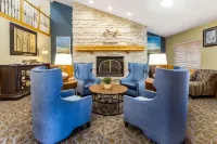 AmericInn by Wyndham Hotel and Suites Long Lake Hotels in Excelsior