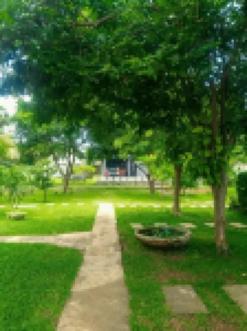 Organic Garden Resort Sigiriya Hotels in 