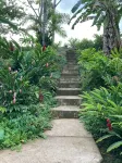 Tranquil Waterfall Studio, Oceanfront with Jungle Hiking and Starlink - 3-Star