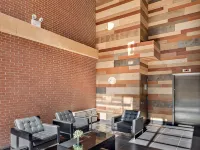 فندق أورتشارد ستريت Hotels near ملعب باروش