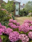 Delightful Barn Conversion in village beneath the beautiful Quantock Hills AONB -  Privatzimmer