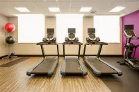Hampton Inn and Suites Aurora South Denver - Gym