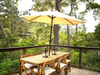 Forest Home with Deck, EV Charger, King Beds