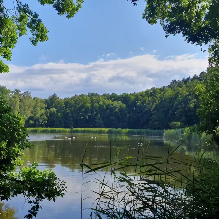 Living in a small village in the middle of nature many lakes forest and hiking trails