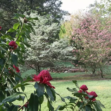 Self contained cottage in 8 acres of amazing gardens adjoining the Ovens River