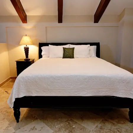 Private Villa at Red Frog Beach Resort