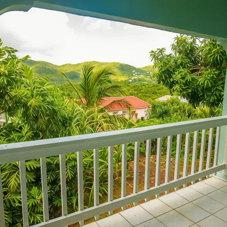 Hibiscus Haven USVI
