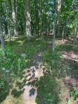 基爾伯恩莊園1820年歷史住宅 - 3 星級