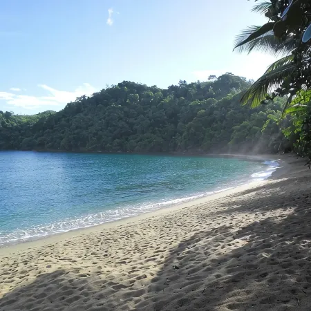 Secluded Hillside Cottage with Bay & Rainforest Views, Just 5 Mins to the Beach