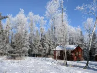 Rustic Retreat Cabin for Families/Sm Groups, "Shalom" - 2-Star