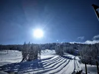 Blue Spruce Guesthouse - Walkable to river trail and downtown Bend - บังกะโล