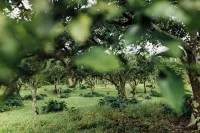 Cozy cottage nestled on our 5 acre Organic fruit farm