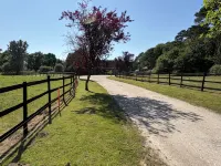 Charming Farm Stay in Dorset. Cozy Self Catering Apartment with scenic views. - 3-Star
