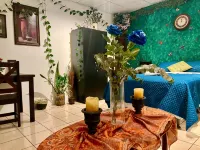 "The Enchanted Forest" Inside the Alchemist Café - Shuttle Services Available