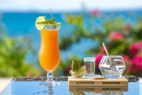 薩勒克桑尼圖德法義公寓式飯店 - 酒吧