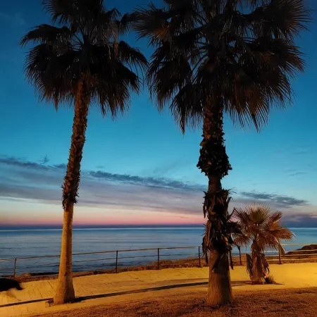 Zenia Hostel