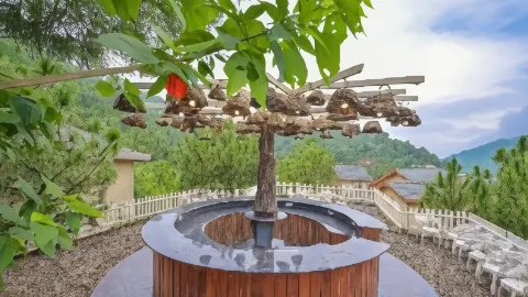 Jungle Lodge Resort in Solan