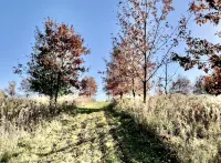 Private Ridge top Cabin/House - Homestays