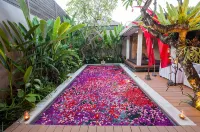 Aria Exclusive Villas & Spa Hotels in Seminyak