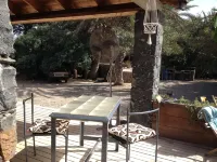 Villa Morabeza Guest House - breakfast