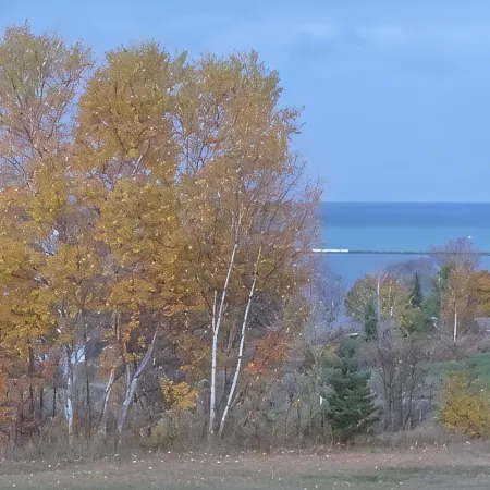 The Hill House offers a great view, plus it's close to town and dog friendly!