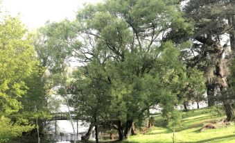 Daylesford Lake Villa 1 ...lake frontage and pet friendly