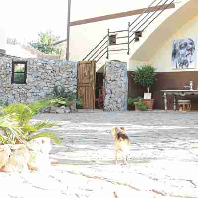 loftOtel canet Hotel Exterior