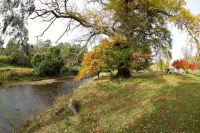 Historic Miners Cottage on Howqua River - Wi-Fi