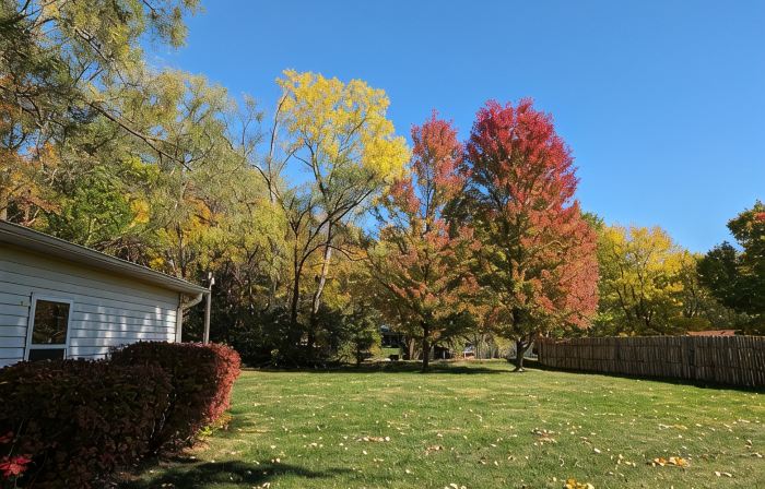 Cheerful two bedroom home in quiet neighborhood. Sun Porch ~ Patio ~  Large yard