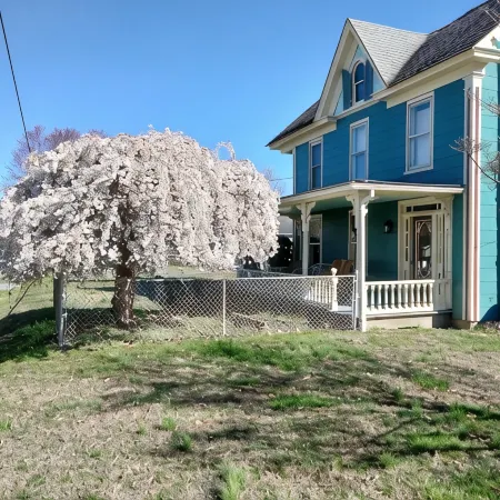 Spacious Victorian close to everything in RH - Wheelchair friendly. Sleeps 11