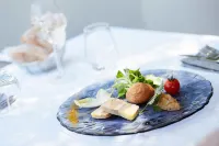 三大山飯店，格勒諾布爾南克萊 - 游泳池