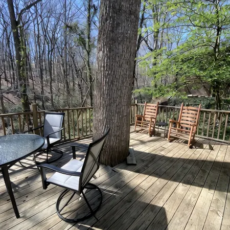 Cozy historic cottage in the woods. 10 minute walk to town
