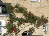 Au Presbytère de Dagmar Hôtels à : Erbrée