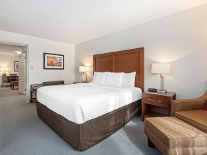 Comfort Inn & Suites Carbondale on the Roaring Fork