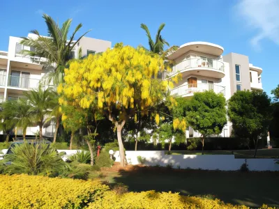 Surfside on the Beach Hotels near Point Cartwright Lighthouse